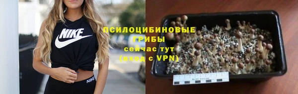 гидропоника Козельск