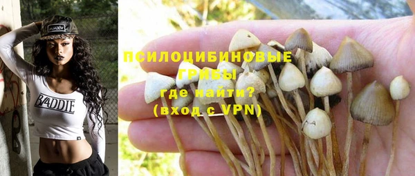 гидропоника Козельск